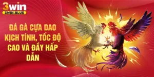Đá gà cựa dao